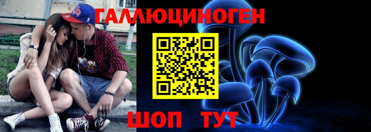 Киселёвск  Псилоцибиновые грибы Cubensis  Вход с VPN 